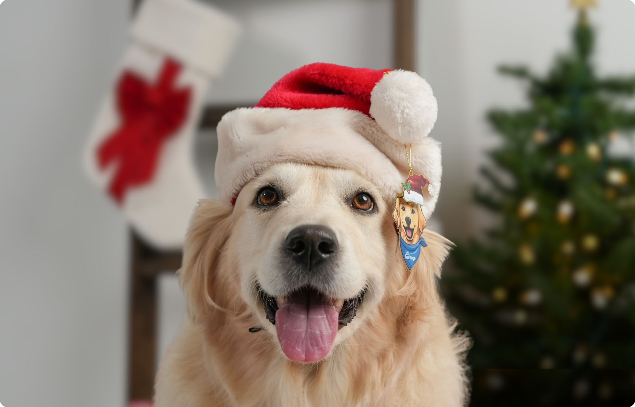 Lady, the inspiration for the 2026 Heritage Collective Ornament